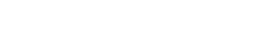 THE SALON